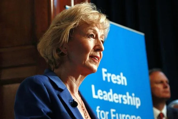İngiliz Bakan Leadsom, Brexit'in birkaç hafta ertelenebileceğini söyledi