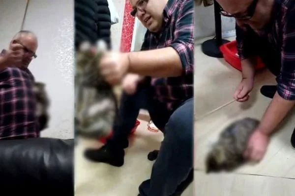 Kediye işkence yapan adam akıl hastanesine sevk edildi