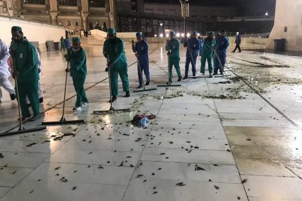 Mescid-i Haram'ı çekirge ve hamam böcekleri bastı