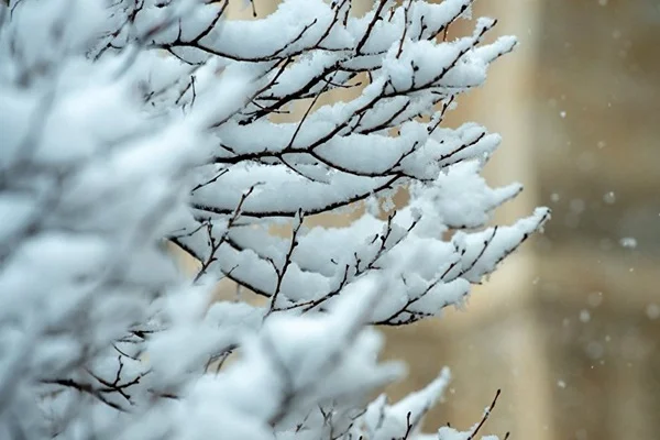 Meteorolojiden açıklama: Yağışlı ve soğuk hava geliyor