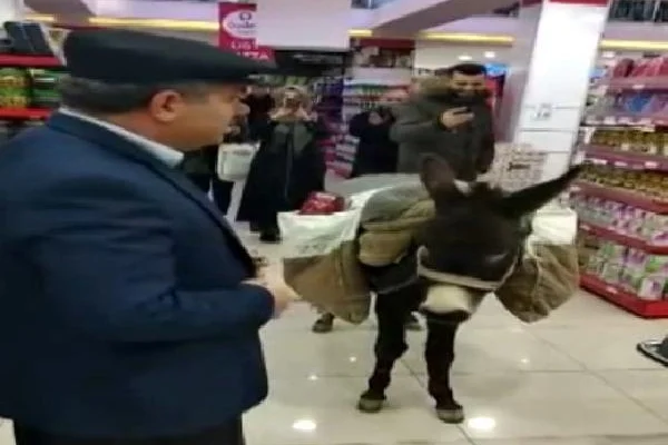 Poşete para vermemek için markete eşekle gittiler