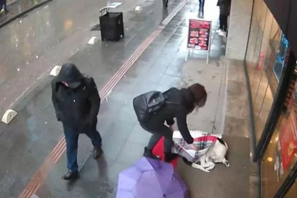 Şalıyla sokak köpeğinin üzerini örttü
