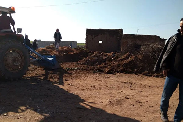 Şanlıurfa'da ahır çöktü, 8 hayvan telef oldu