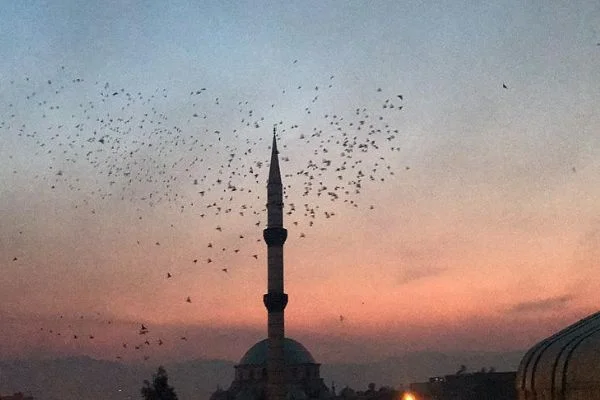 Şanlıurfa semalarına 'güvercin döküldü'
