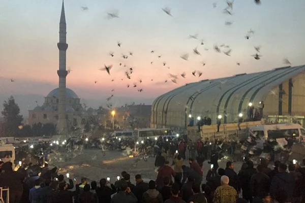 Şanlıurfa semalarına 'güvercin döküldü'