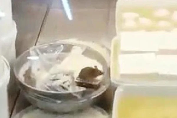 Şarküteri reyonunda fare görüntülendi