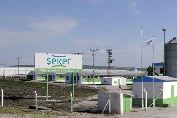 Şeker Piliç'in sahipleri gözaltına alındı