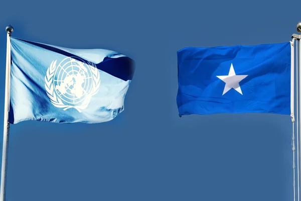 Somali'den BM'ye: İç işlerimize karışmayın