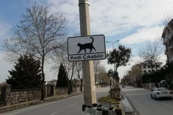 Yalova'da sürücüler 'Kedi Çıkabilir' levhalarıyla uyarılıyor