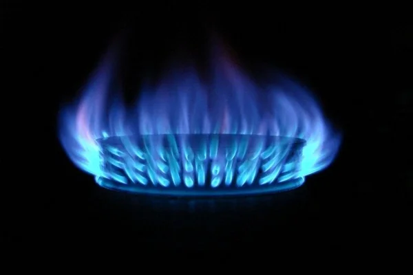 Bakan Dönmez'den doğal gaz açıklaması