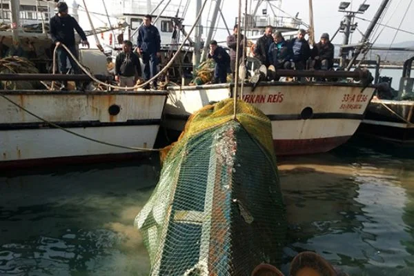 Balık ağına yat takıldı