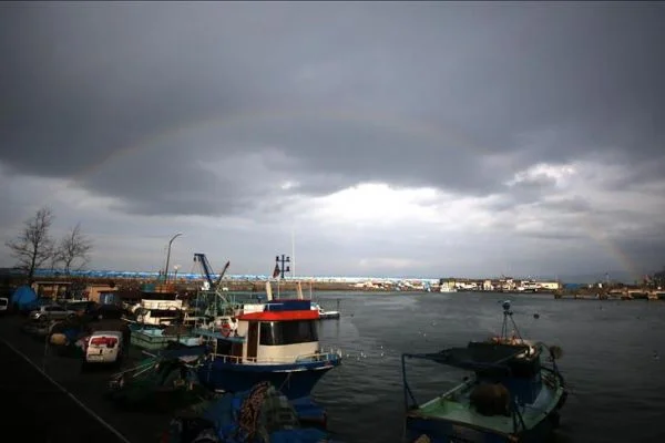 Batı Karadenizli balıkçıların hamsi umudu kalmadı