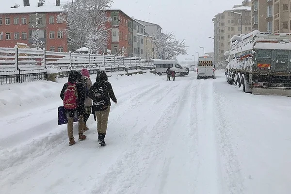 Bitlis ve Muş'ta eğitime kar tatili