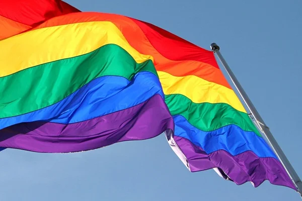 CHP'nin Beyoğlu adayı Taş: LGBTİ meclisleri kuracağız