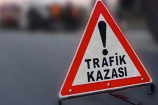 Devriye görevindeki polis aracı ağaca çarptı