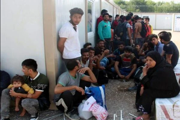 Edirne'de 550 kaçak göçmen yakalandı
