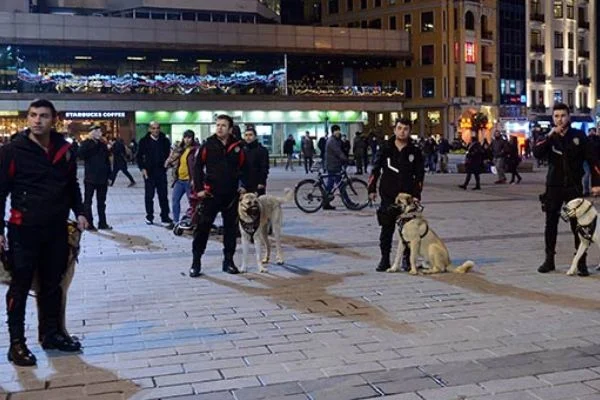 K-9 kangal ve akbaşlara sertifika