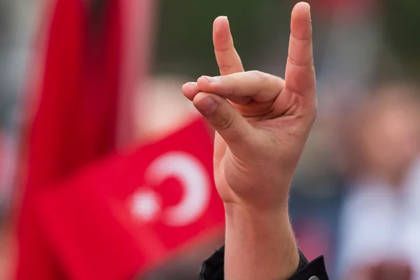Türkiye'den bozkurt işaretinin yasaklanması ile ilgili açıklama