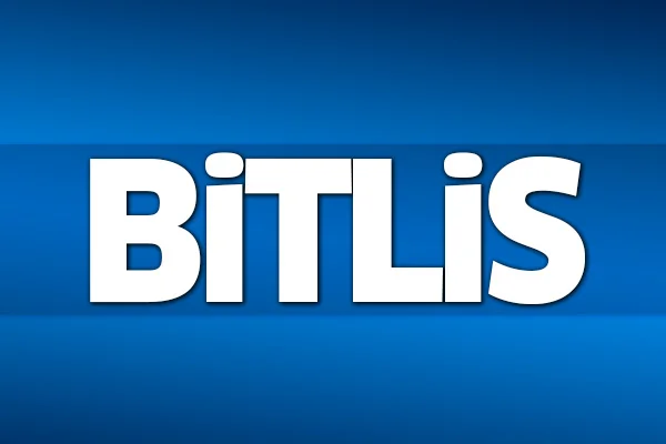 31 Mart 2019 Bitlis seçim sonuçları