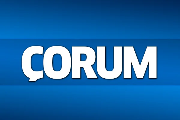 31 Mart 2019 Çorum seçim sonuçları