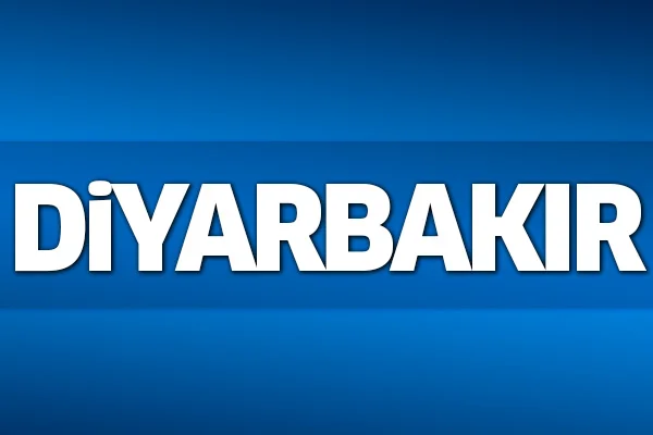 31 Mart 2019 Diyarbakır seçim sonuçları