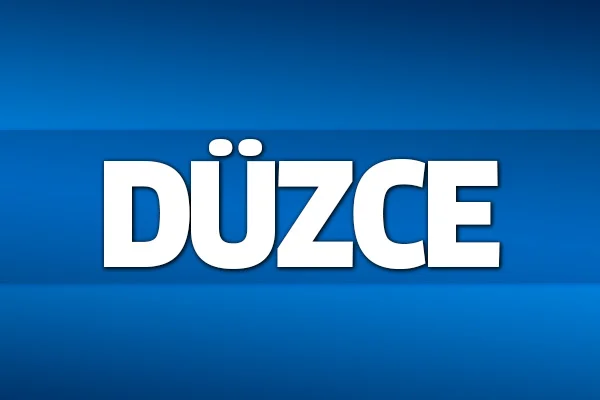 31 Mart 2019 Düzce seçim sonuçları