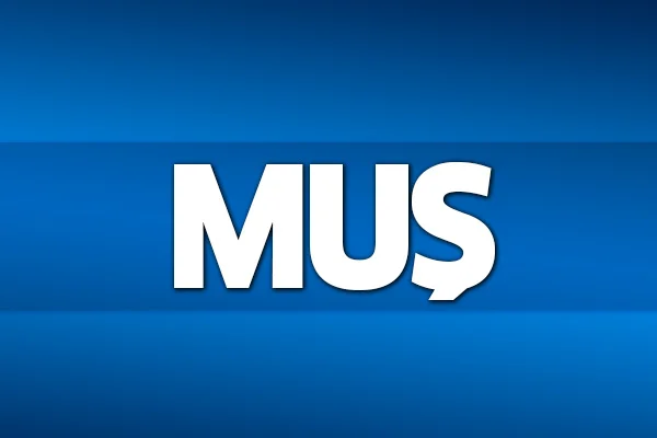 31 Mart 2019 Muş seçim sonuçları
