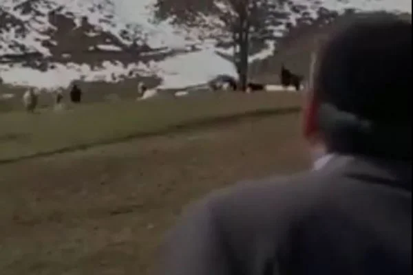 Aradan 8 yıl geçse de muhteşem amca yine aynı