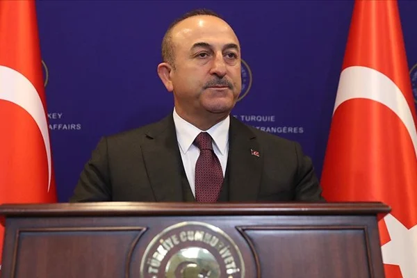 Bakan Çavuşoğlu'ndan Karadzic mesajı