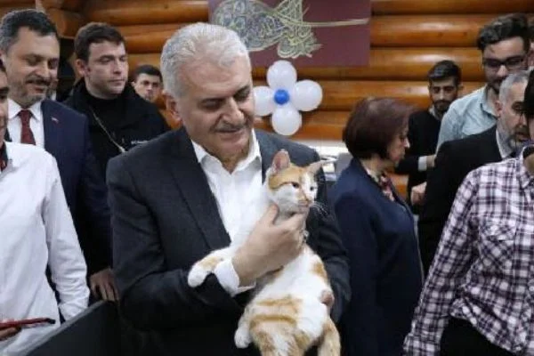 Binali Yıldırım Çamlık Millet Kütüphanesi'ni açtı