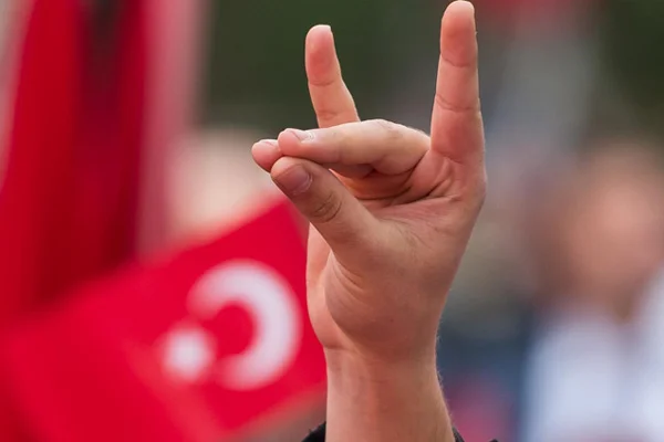 Bozkurt işareti yapana 4 bin Euro para cezası