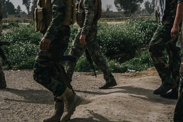 Irak Meclis Başkanı: Haşdi Şabi federal kuvvetlere dahil