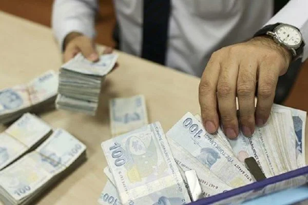Kalkınma ajanslarına 331,8 milyon lira transfer ödeneği