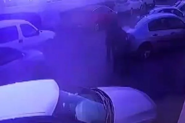 Mayalılar çetesine son darbe