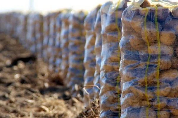 Patatese vergi ayarı: 20 Nisan'a kadar sıfırlandı
