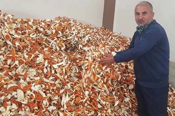 Portakalın kilosu 1 lira kabuğu 6 lira