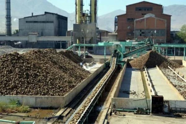 Şeker fabrikaları sözleşmelere başladı