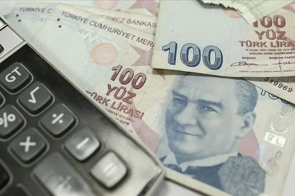 Vergi kaçıranları ihbar edenlere 6,4 milyon liralık ikramiye
