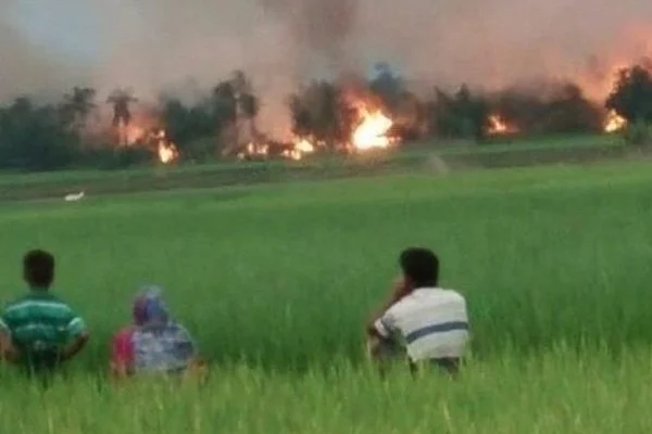 BM'den Myanmar ordusuna kınama