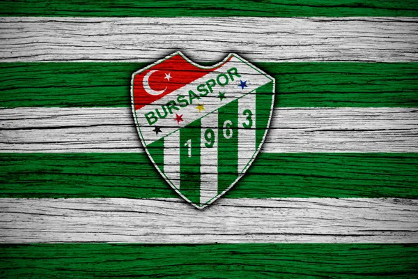 Bursaspor'un yeni hocası belli oldu