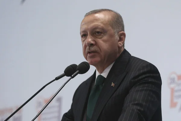 Cumhurbaşkanı Erdoğan: İstanbul ve Ankara'da kaybetmedik, tam aksine kazandık