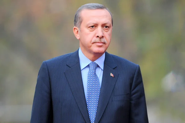 Erdoğan'dan Libya hükümetine destek