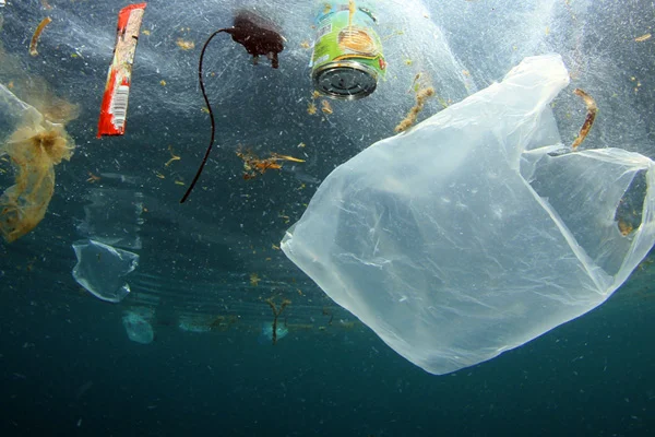 Greenpeace uyarıyor: Plastik atıkların yeni adresi Endonezya, Hindistan ve Türkiye