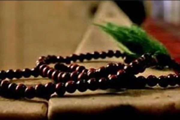 Her şey Allah'ı tesbih eder