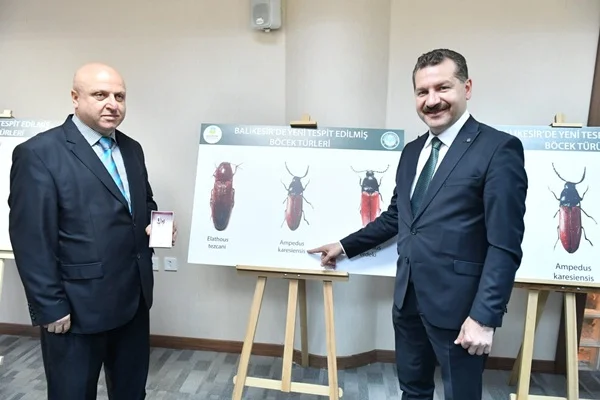İşte Balıkesir'de keşfedilen üç yeni böcek türü