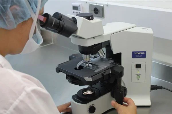 Kanada'da laboratuvarda üretilen etler yiyecek sektöründe kullanılacak