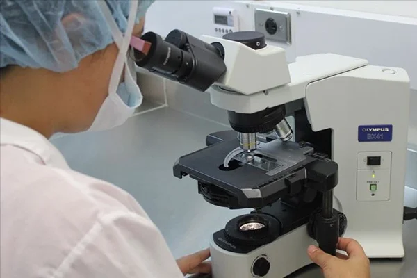 Kanada'da laboratuvarda üretilen etler, yiyecek sektöründe kullanılacak
