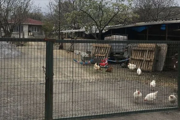 Keneden ölen kişinin annesi de hayatını kaybetti