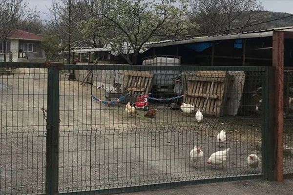 Keneden ölen kişinin annesi de yaşamını yitirdi