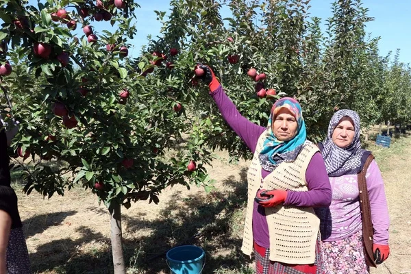 'Kırsaldaki yaşamı teşvik etmemiz lazım'